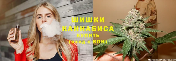 СК Медногорск