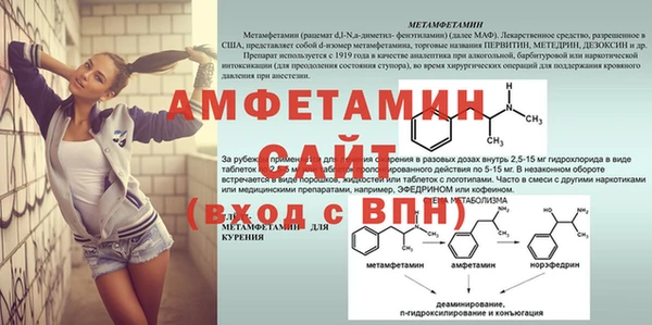 амф Великий Новгород